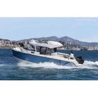 Captur PILHOUTAUSE