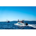 805 PILOTHOUSE com Mercury 225 XXL DTS V6 FourStroke